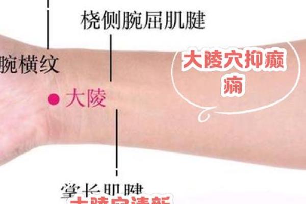 陵园公墓风水要怎么选穴位