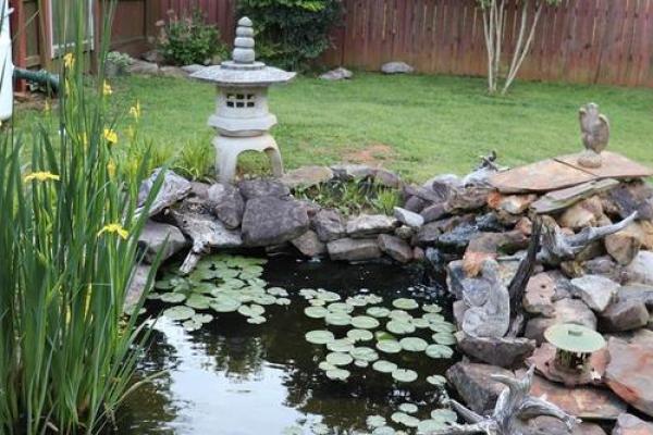 家庭鱼池风水 家庭鱼池风水摆放