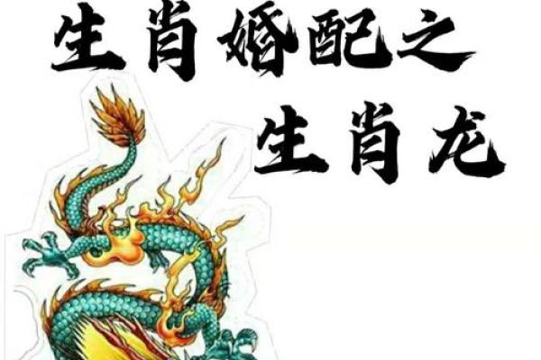 生肖配对-虎和龙的性格特点和最佳组合