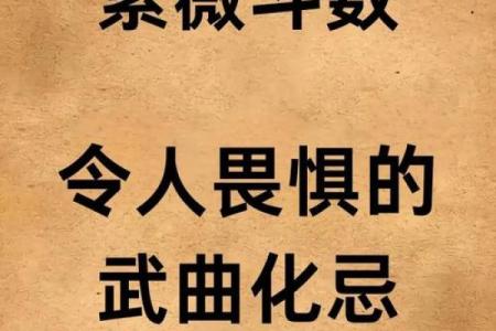 天虚紫薇斗数