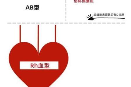 全球100位富豪的血型