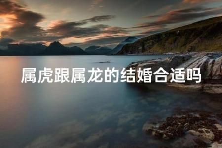 生肖配对-虎和龙的性格特点和最佳组合