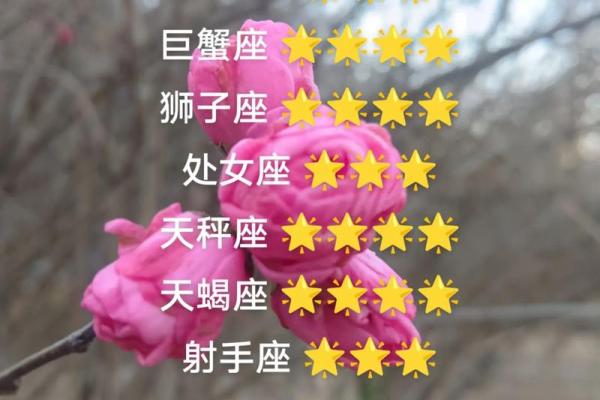白羊座今日紫微黄历运势