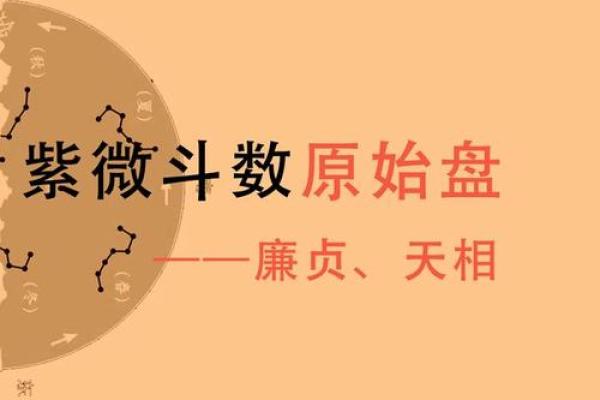 紫微斗数廉贞星在财帛宫