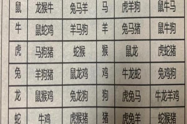 十二生肖最佳婚姻配对