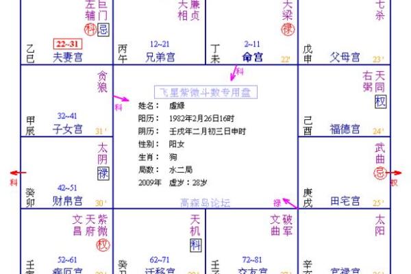 紫薇斗数四马宫