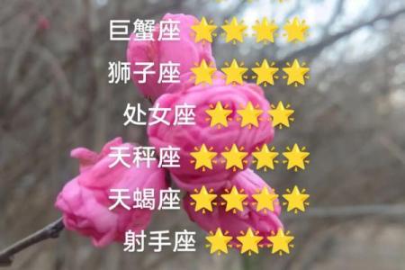 白羊座今日紫微黄历运势