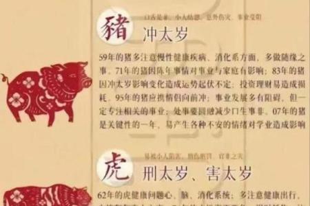生肖配对姻缘查询鼠猴 生肖配对表鼠？