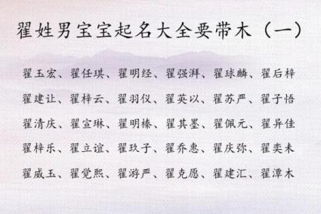 12月份出生的属兔男孩取哪些名字好姓名
