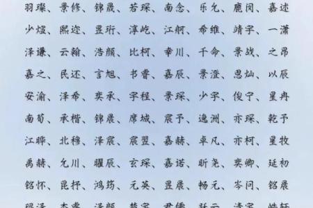 2019年4月30号丑时出生的男孩如何起名姓名
