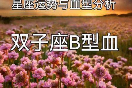 属鼠B血型的人性格与事业姻缘