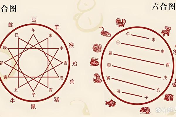 狗配对：十二生肖中，狗座最匹配与不相配的生肖