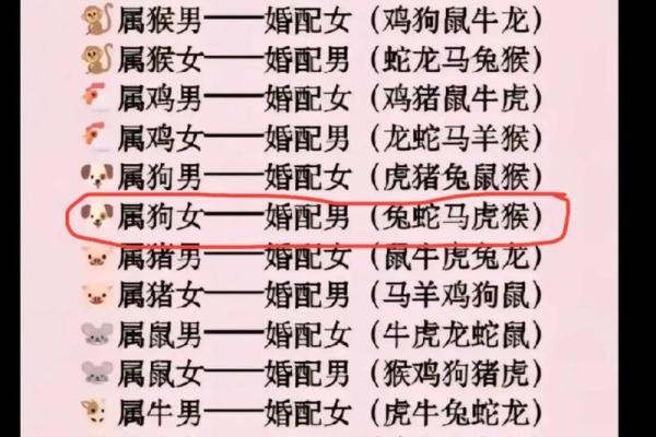 属猪和什么属相最配对 属猪和什么属相相冲