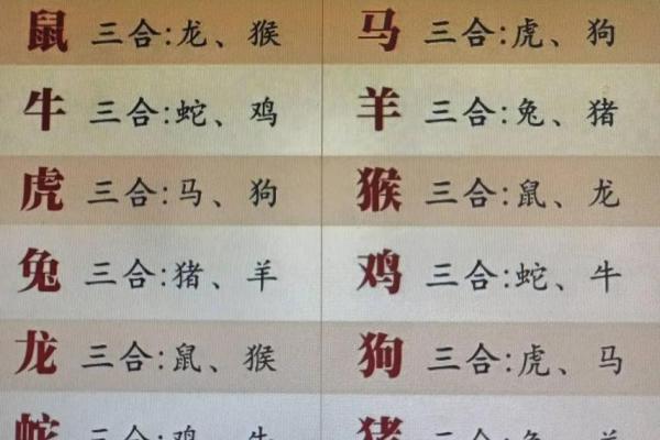 2000年属什么生肖配对男 2000年属什么生肖女婚配