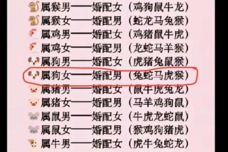 属猪和什么属相最配对 属猪和什么属相相冲