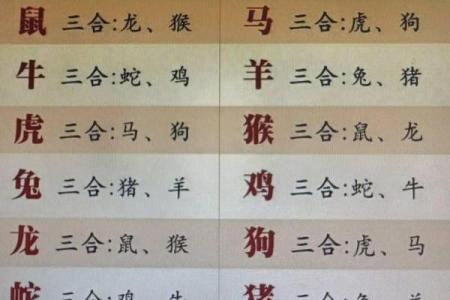 2000年属什么生肖配对男 2000年属什么生肖女婚配