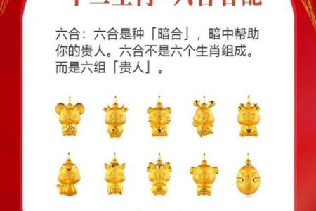 1986年属什么生肖 1986年属什么生肖配对最好