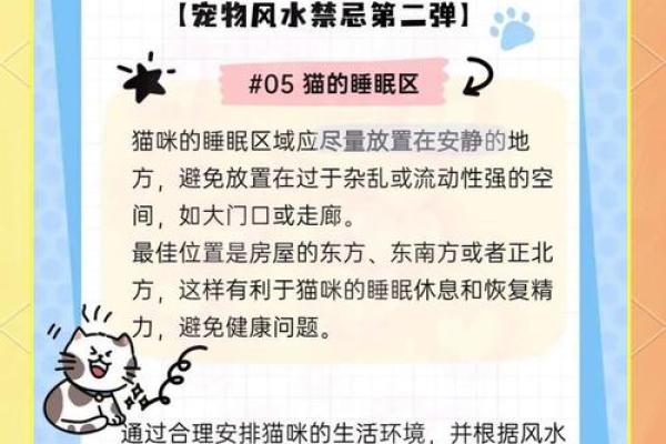 养宠物也是要讲究风水的