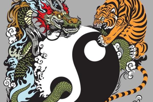 虎与最佳配鱼是什么  虎的最佳配对是什么