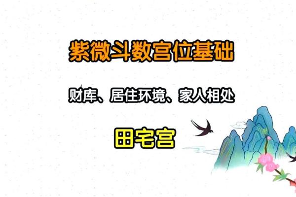 紫薇斗数大田宅
