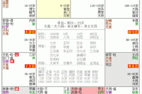 星座紫薇斗数在线测试