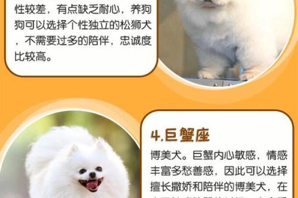 星座最适合什么狗狗