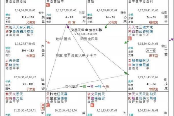 羊刃在官禄宫#紫微斗数