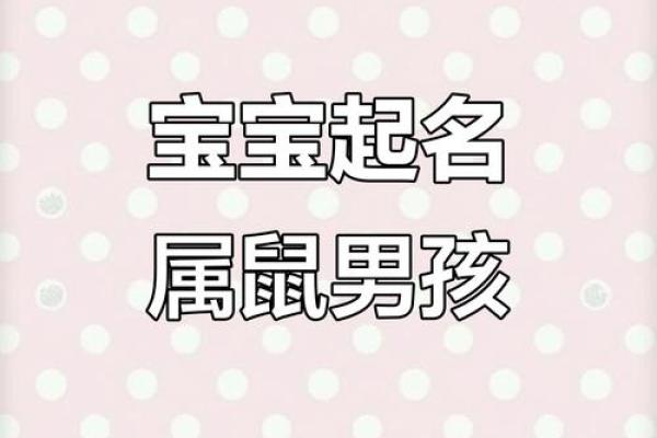 上午出生的属鼠男孩起名宜用什么字姓名