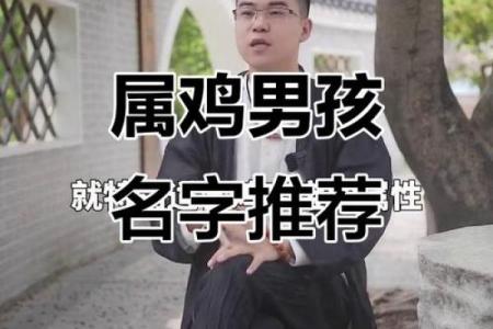 8月份出生的属鸡男孩起什么名字好姓名
