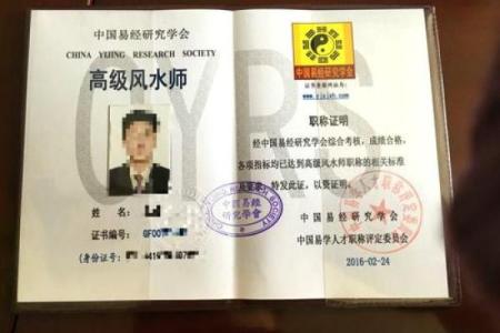 塑料风水师