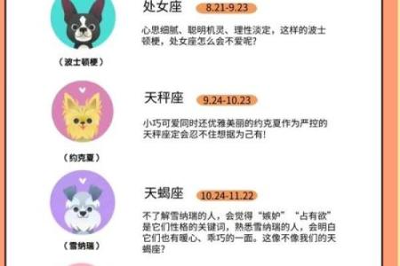 星座最适合什么狗狗