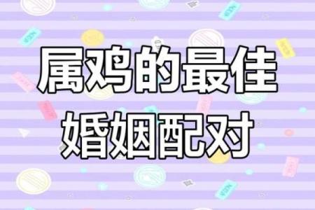 属鸡的和什么星座结婚最合适呢