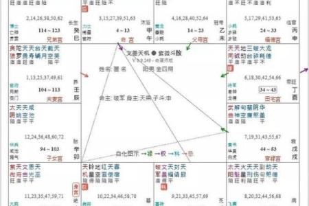羊刃在官禄宫#紫微斗数