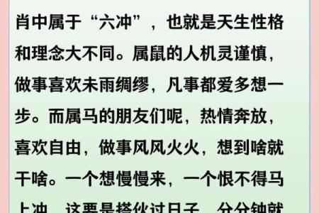 属鼠和属虎的八字合不合得来,属虎的跟属鼠的合财吗