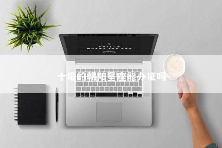 十堰的朝阳星座能办证吗