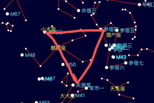 星座小知识：大犬座在什么季节出现