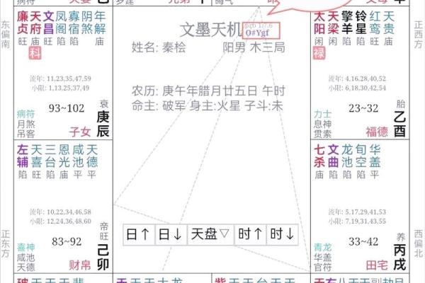 紫薇斗数盘解析