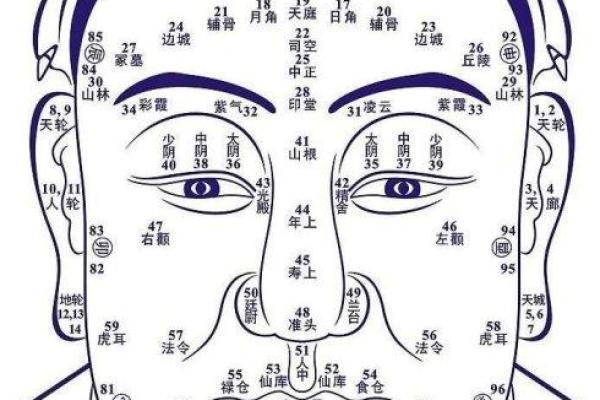 命相故事,如何通过看面相算命 命相故事,如何通过看面相算命