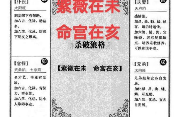 紫薇斗数男命命宫紫薇