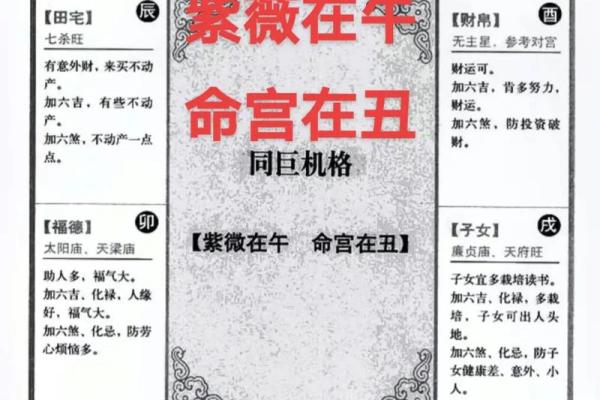 紫薇斗数男命命宫紫薇