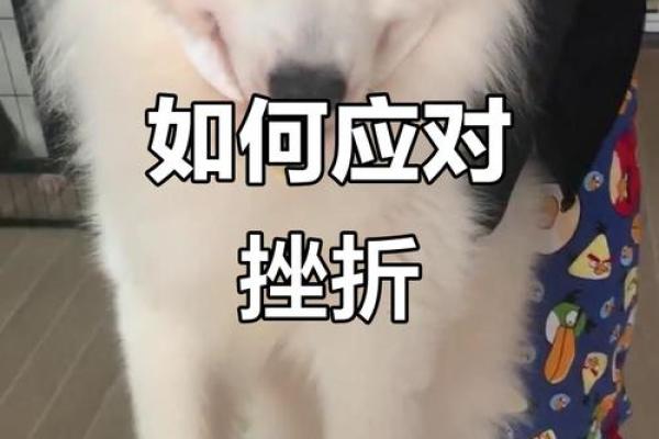 血型教你应对野蛮婆婆