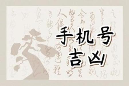 手机号测试吉凶