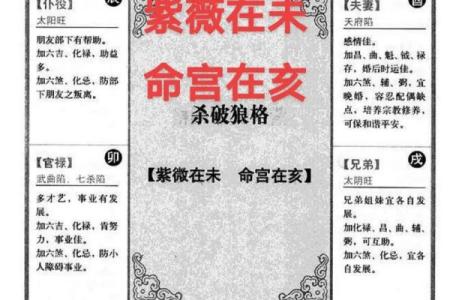 紫薇斗数男命命宫紫薇