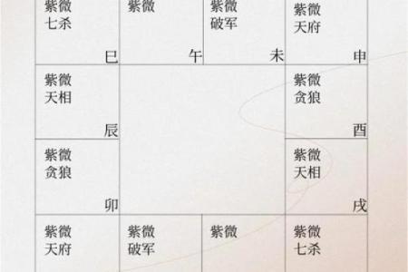 紫薇斗数命宫有哪些