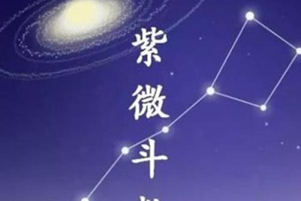掌握幸福之道：紫微斗数顶级命格