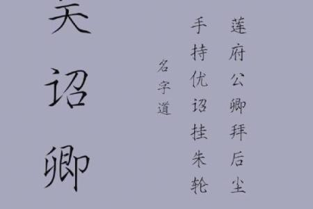 2019年4月16号子时出生的男孩要怎么起名字姓名