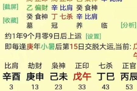 算财运最准的免费网站 八字算财运