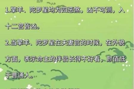 紫薇斗数看才华
