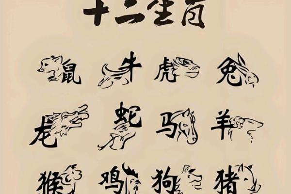 注定成为敌人的属相配对
