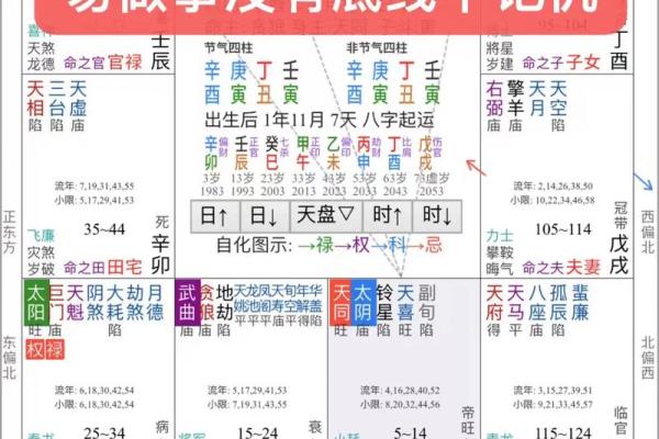 讲解简版 命无主星13 弘扬优秀传统文化 发扬紫微斗数 #紫微斗数